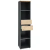 Büroregal Memphis, Graphit/Artisan, inkl. Softclose Funktion