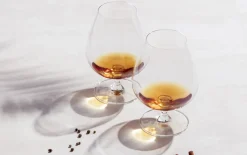 Cognacglas Bar Special, 4-teilig