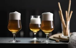 Craft Beer Glas Beer Basic, 4-teilig