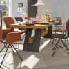 Essgruppe Nevio, Eiche natur massiv geölt, saddle brown/middengrijs
