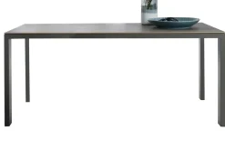 Essgruppe Nova, Japanese blue/Mooreiche