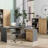 Fächereinsatz Podium, Eiche Navarra Nachbildung/graphit matt, 5er Set