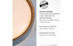 LED-Deckenleuchte Emilia, grau, 39,6 cm