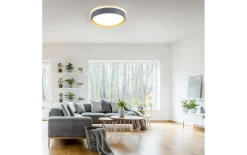LED-Deckenleuchte Emilia, grau, 39,6 cm