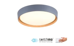 LED-Deckenleuchte Emilia, grau, 39,6 cm