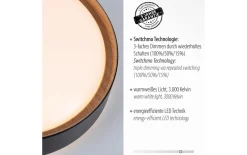 LED-Deckenleuchte Emilia, schwarz, 39,6 cm