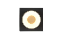 LED-Deckenleuchte Raymond, schwarz/goldfarbig