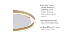 LED-Deckenleuchte Ritus, messing matt, 39 cm