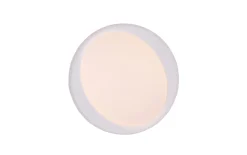 LED-Deckenleuchte Zeta, grau, 48,5 cm