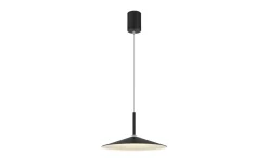 LED-Pendelleuchte Lampone, schwarz, 1-flammig
