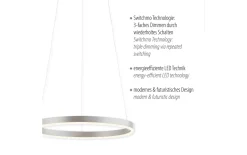 LED-Pendelleuchte Ritus, aluminium, 39,3 cm