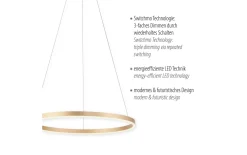 LED-Pendelleuchte Ritus, messing matt, 58,5 cm