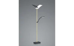 LED-Standleuchte Delara, champagner/schwarz, 182 cm