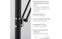 LED-Standleuchte Mondo Rimo, anthrazit, inkl. CCT und Memoryfunktion