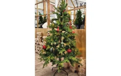 Tannenbaum Allison II, grün, inkl. LED-Beleuchtung, 150 cm