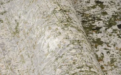Teppich Glorious Cove, grau/grün, 160 x 230 cm