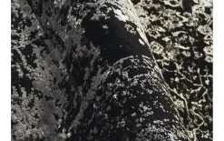 Teppich Glorious Vita, schwarz/grau, 160 x 230 cm