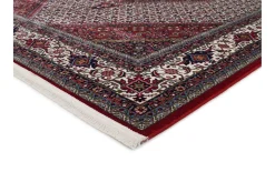 Teppich Seidenwind Bidjar, creme/rot, 160 x 230 cm