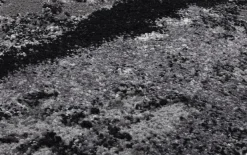 Teppich Starlight Echo, grau/schwarz, 200 x 290 cm
