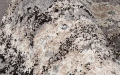 Teppich Starlight Echo, hellgrau/beige, 200 x 290 cm