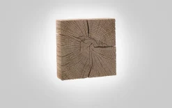Wandleuchte Naturstücke, Riffeiche massiv