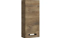 Wandschrank Fokus 4010, Eiche Ribbeck Nachbildung